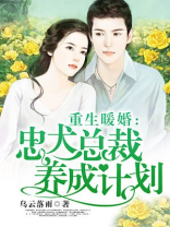 重生暖婚：忠犬总裁养成计划