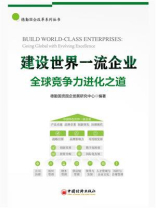 建设世界一流企业：全球竞争力进化之道