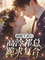 偷偷生崽后，高冷祁总跪求复合