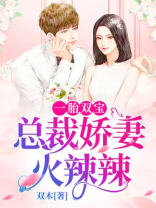 一胎双宝：总裁娇妻火辣辣