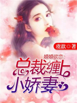婚婚欲恋：总裁缠上小娇妻