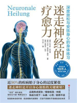 迷走神经的疗愈力