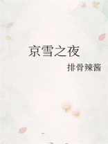 京雪之夜