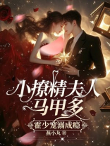 小撩精夫人马甲多，霍少宠溺成瘾