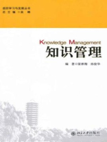 知识管理（组织学习与发展丛书）