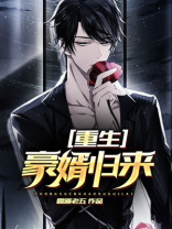 重生豪婿归来
