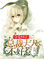 夺爱55计：总裁大人不好惹