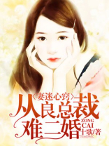 妻迷心窍，从良总裁难二婚