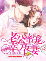 宝贝来袭：老公蜜宠幸孕妻