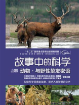 动物·与野性挚友密语（全彩）