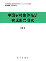 中国农村集体经济实现形式研究