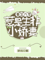 重生六零：惹是生非小娇妻