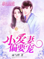 小爱妻，偏要宠