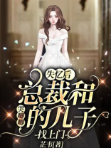 失忆后总裁和哭唧唧的儿子找上门