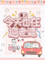 秦少今天也在追老婆