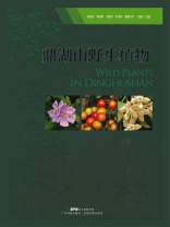 鼎湖山野生植物