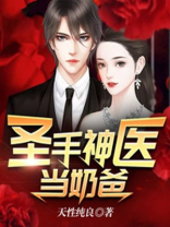 圣手神医当奶爸