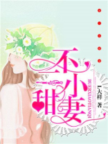 不二小甜妻