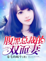 腹黑总裁的双面妻