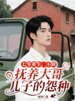 七零重生，不做抚养大哥儿子的怨种