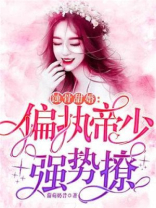 蚀骨甜婚：偏执帝少强势撩