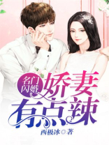 名门闪婚：娇妻有点辣
