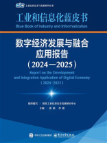 数字经济发展与融合应用报告（2024—2025）