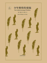 少年维特的烦恼