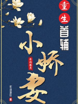 重生首辅小娇妻
