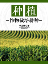 种植:作物栽培耕种 种植:作物栽培耕种