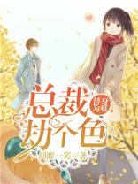 替身难为，总裁劫个色