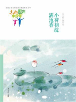 七色阳光小少年：小荷初绽满池香
