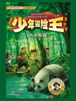 少年冒险王·功夫熊猫
