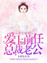 重生暖婚：爱上前任总裁老公