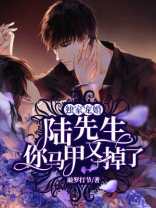 独家宠婚：陆先生，你马甲又掉了