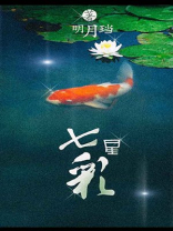 七星彩