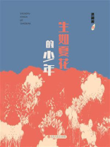 生如夏花的少年