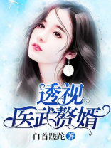 透视医武赘婿