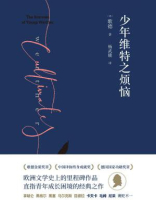 少年维特之烦恼
