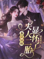 秦总别疯，夫人二胎显怀了