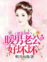 甜宠攻略：暖男老公好坏坏