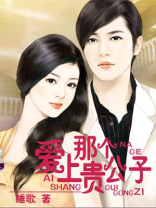 爱上那个贵公子