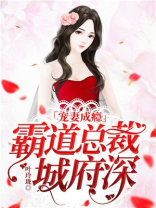 宠妻成瘾：霸道总裁城府深