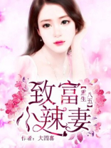 重生八五：致富小辣妻