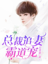 总裁追妻霸道宠