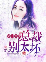 豪门错爱：总裁别太坏