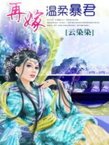 再嫁温柔暴君