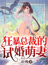 狂暴总裁的试婚萌妻