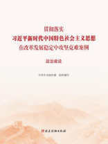 贯彻落实习近平新时代中国特色社会主义思想在改革发展稳定中攻坚克难案例：政治建设