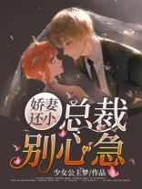 娇妻还小：总裁别心急